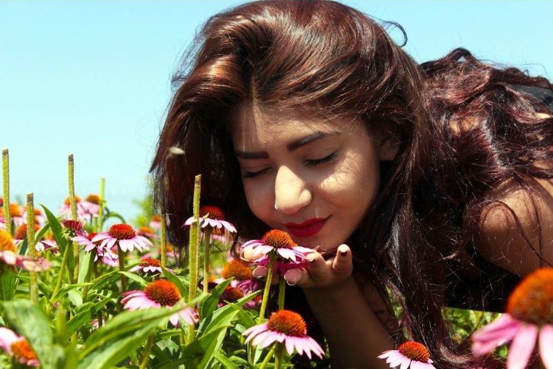 Van G&ouml;l&uuml; Kıyısında Renk C&uuml;mb&uuml;ş&uuml;