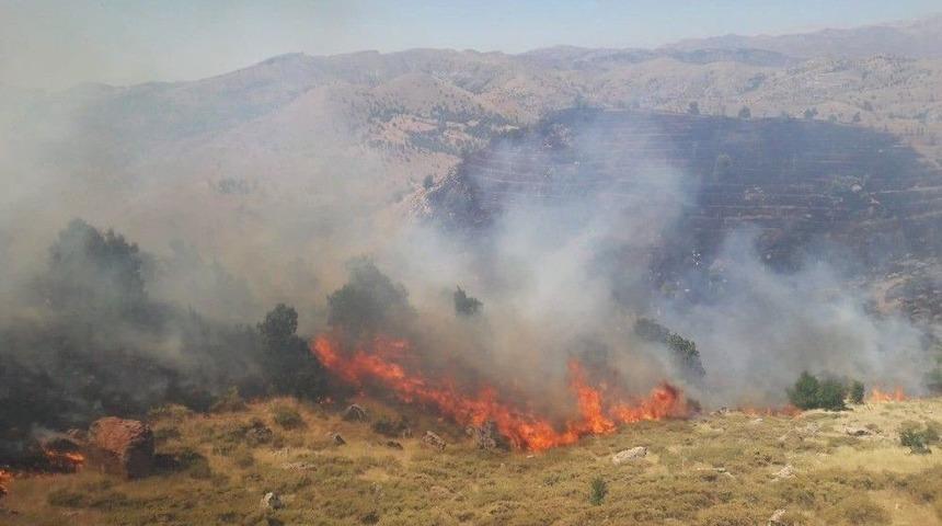 Adıyaman&rsquo;da Orman Yangını