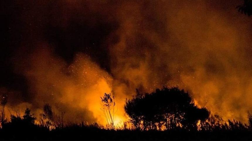 İznik’te Sazlık Alanda Çıkan Yangın Korkuttu