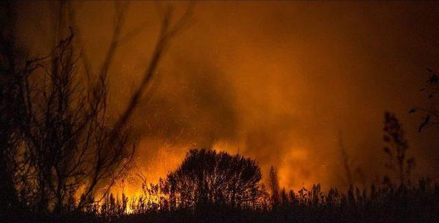 İznik’te Sazlık Alanda Çıkan Yangın Korkuttu