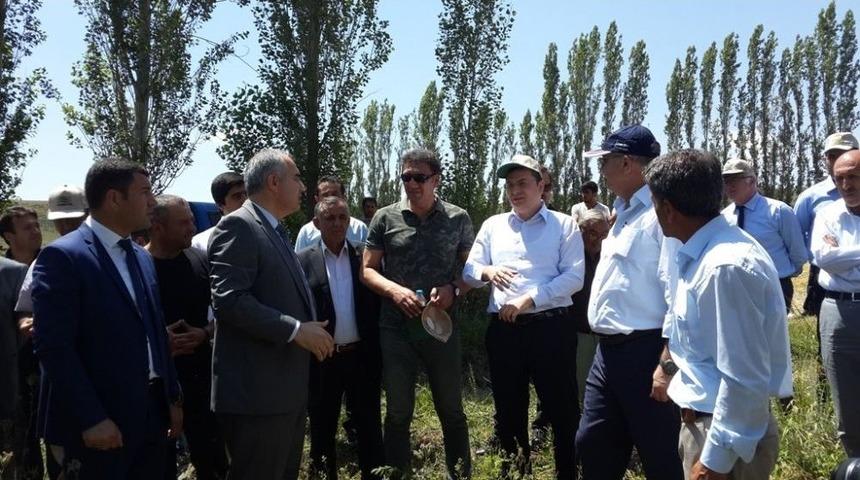 Arı Otu Ve S&uuml;t Otu Tarla G&uuml;n&uuml; D&uuml;zenlendi