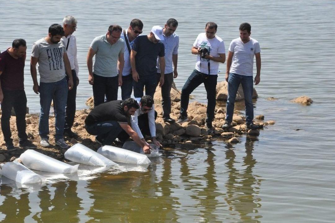 Ter&ouml;r&uuml;n Yerini Huzura Bırakmasıyla Yaylalar İle Birlikte Nehir Ve G&ouml;ller De Şenlendi