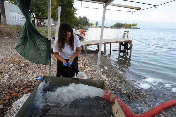 (özel) Gölün Dibinde Yatan 100 Yılın Keşfi Havadan Ve Su Altından Böyle Görüntülendi G5