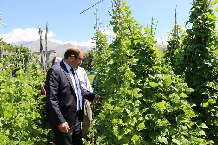 Erzincan’da Tarla Günü Düzenlendi G1
