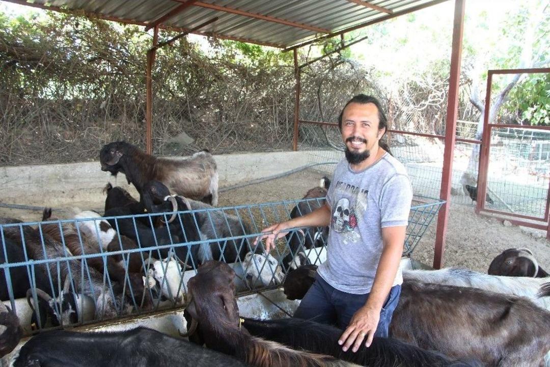 Mimarlıktan Hayvancılığa