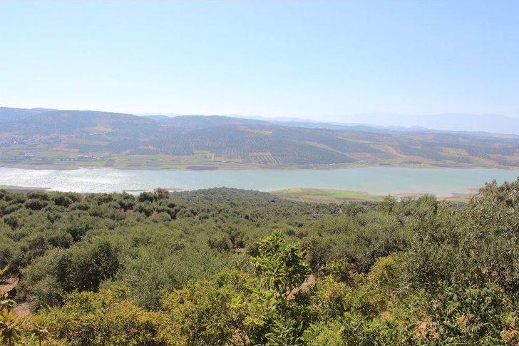 Yarseli Göleti’nde Su Seviyesi Düşüyor G1