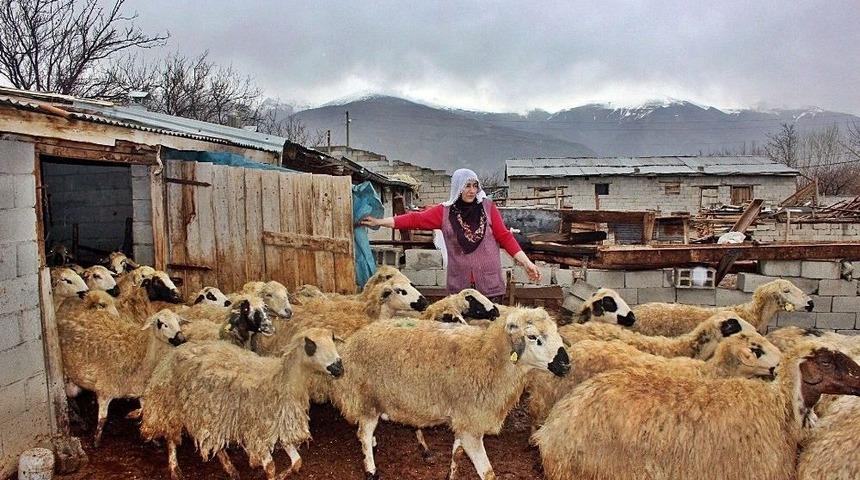 Kadın &Uuml;reticilerin Kadınlar G&uuml;n&uuml;nden Haberleri Yok