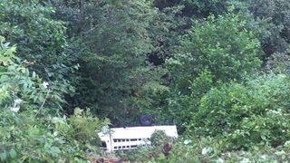 Giresun’da Mevsimlik Fındık İşçilerini Taşıyan Minibüs Kaza Yaptı: 3 Ölü, 12 Yaralı