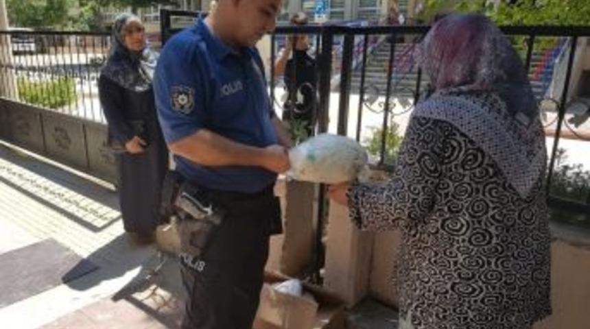 &Ccedil;arşaf Siparişi Verdi, Kefen Geldi