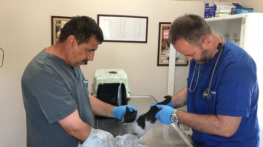 Bursaray İstasyonuna Sıkışan Kedi Kurtarıldı