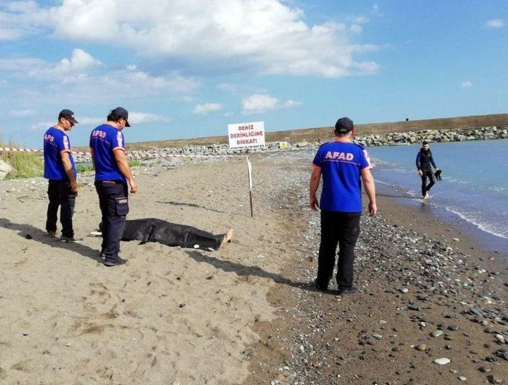 Denizde Kaybolan Gençlerin Cesetlerine Ulaşıldı G1