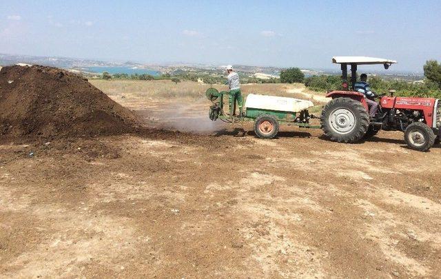 Tarsus Belediyesi’nin Kokuyla Mücadelesi Devam Ediyor