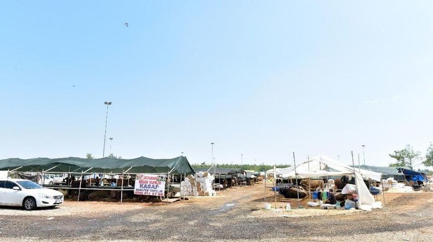 Kepez Kurban Bayramı&rsquo;na Hazır