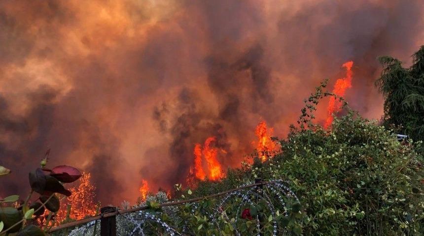 Mudanya&rsquo;daki Yangının Sigara İzmaritinden &Ccedil;ıktığından Ş&uuml;pheleniliyor