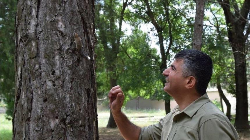 Bitkin Halde Bulunan Yavru Ağa&ccedil; Yediuyuru Doğaya Bırakıldı