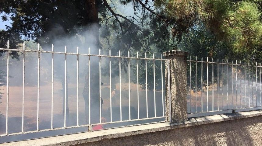 Jandarmanın Dikkati Sayesinde Onlarca Ağa&ccedil; Son Anda Kurtarıldı