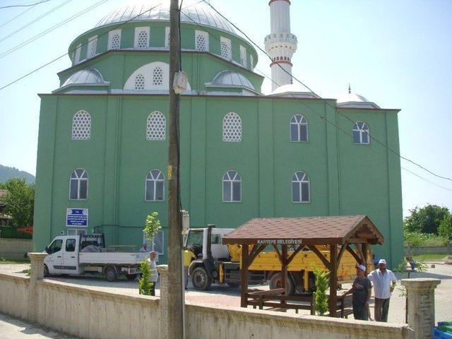 Kartepe Ulu Camiye Kamelya