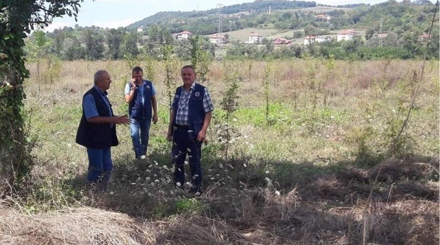 Beyazlı, &Ccedil;aycuma Ve Perşembe Ormanlarında İnceleme Yaptı