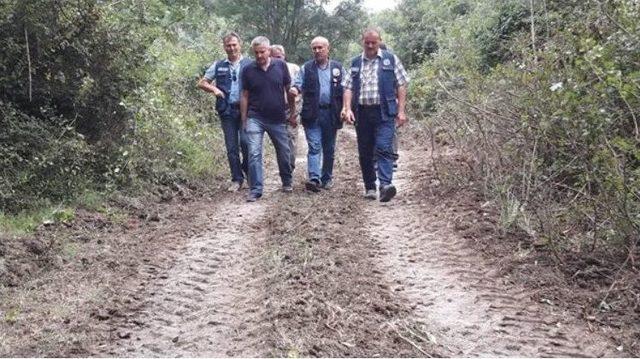 Beyazlı, Çaycuma Ve Perşembe Ormanlarında İnceleme Yaptı