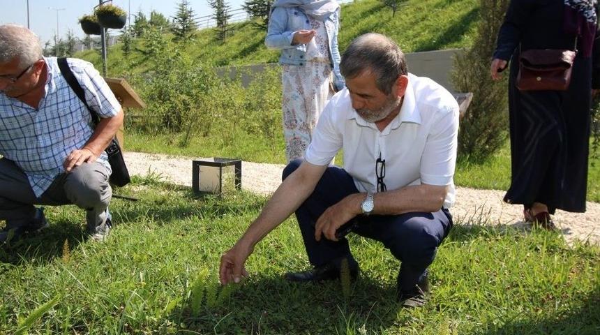 Ko-mek&rsquo;ten İstihdama Y&ouml;nelik Yeni Branş