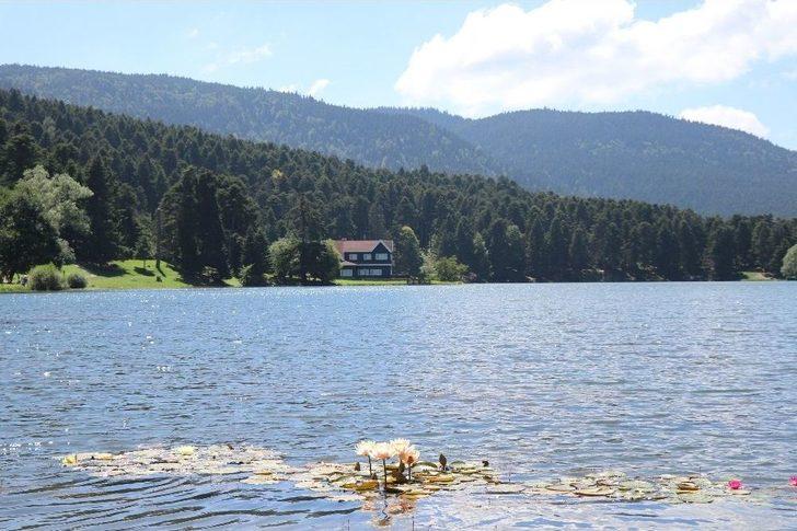 Gölcük Tabiat Parkı’nda Hafta Sonu Yoğunluğu G2