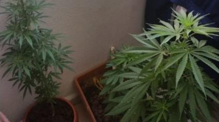 Kuşadası’nda Uyuşturucu Operasyonu