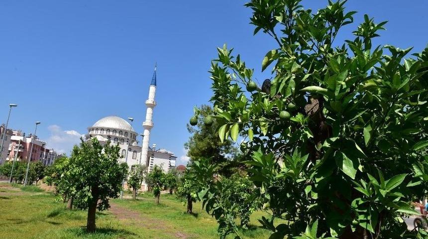 Kepez&rsquo;e Anadolu Bah&ccedil;esi