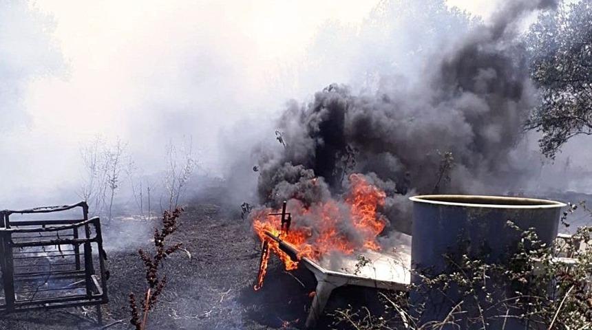 Arazi Yangınında Zeytin Ağaçları Da Yandı
