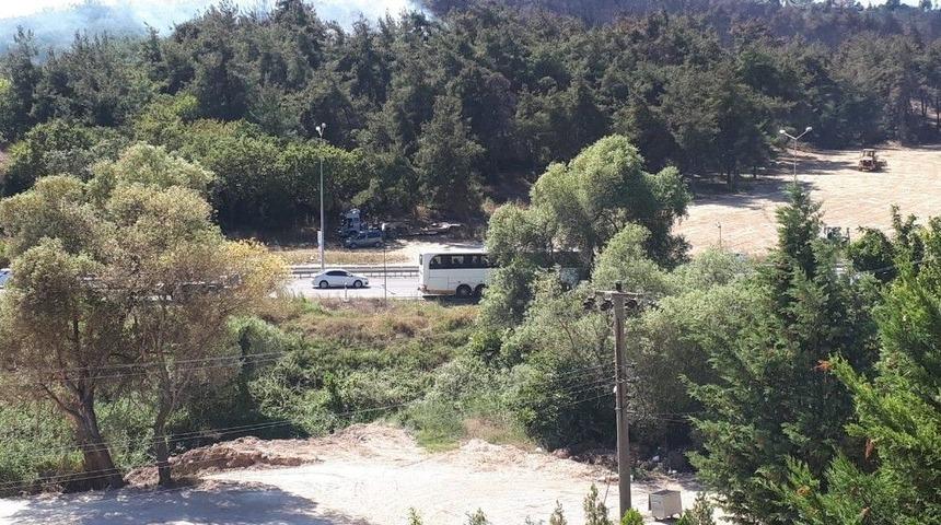 Mudanya&rsquo;da Yeniden Yangın &Ccedil;ıktı