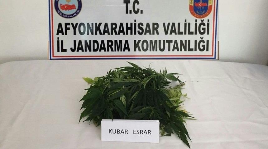 Jandarma Ekiplerinden Uyuşturucu Ve Tarihi Eser Operasyonu
