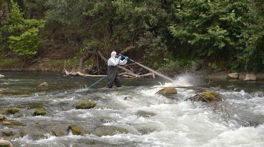 Similium İle Biyolojik M&uuml;cadele Başarılı Ge&ccedil;ti