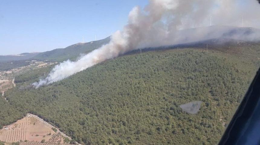 Soma&rsquo;da Orman Yangını