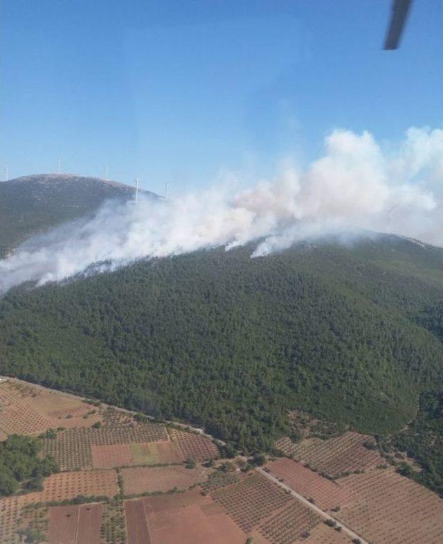 Soma&rsquo;da Orman Yangını 1