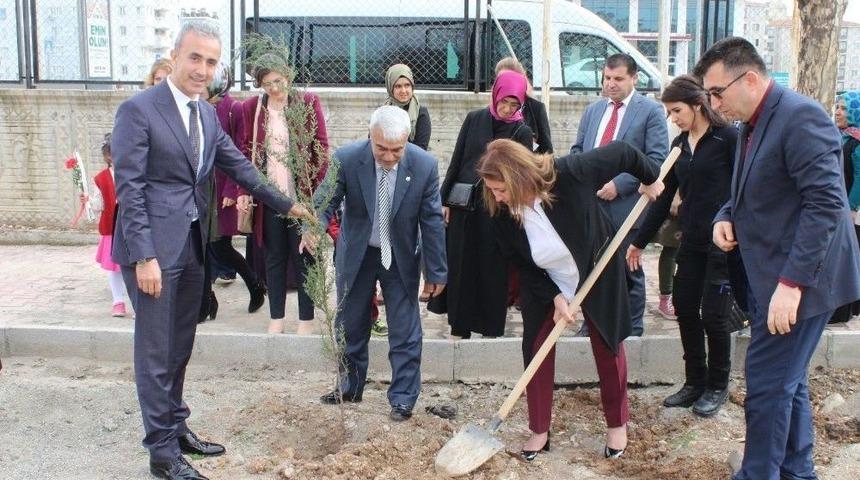 Kadınlar Ağa&ccedil; Dikti