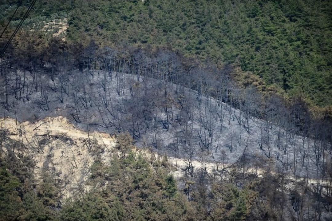 Vali K&uuml;&ccedil;&uuml;k: "yangın Sigara İzmariti Veya Cam Kırığından &Ccedil;ıkmış Olabilir"