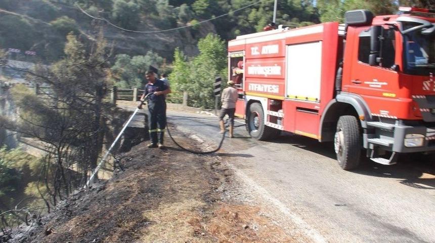 Aydın’da Piknik Ateşi Yangına Sebep Oldu
