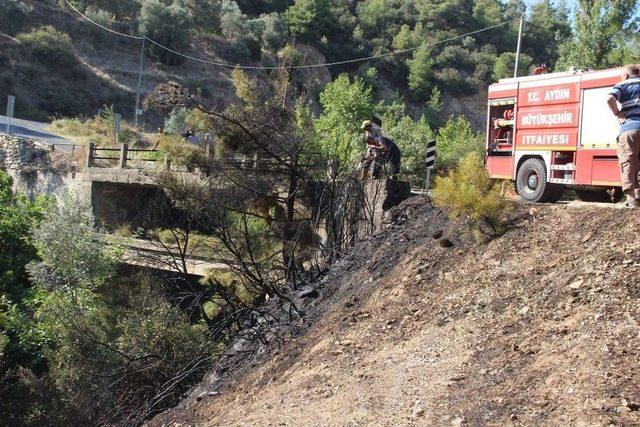 Aydın’da Piknik Ateşi Yangına Sebep Oldu