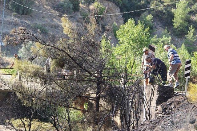 Aydın’da Piknik Ateşi Yangına Sebep Oldu