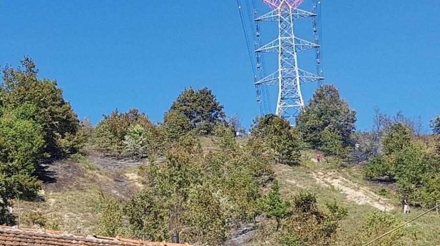 Ormanlık Alanda Çıkan Yangında İki Dönüm Mera Alanı Yandı