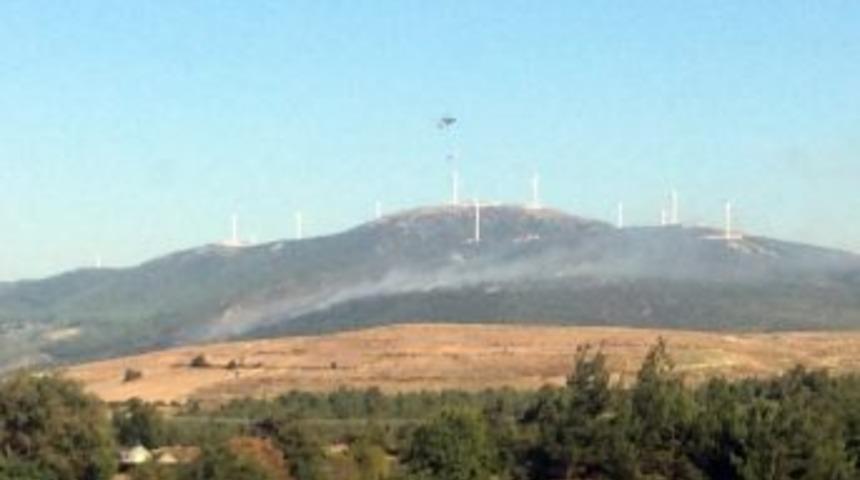 Soma’da 6 Hektarlık Ormanlık Alan Yangında Zarar Gördü