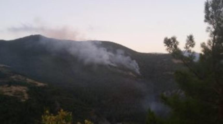 Hatay&rsquo;da Orman Yangını