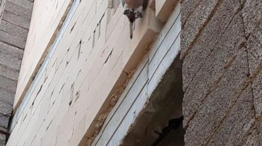 Yavru K&ouml;pek İnşaatın 3. Katında Asılı Bulundu