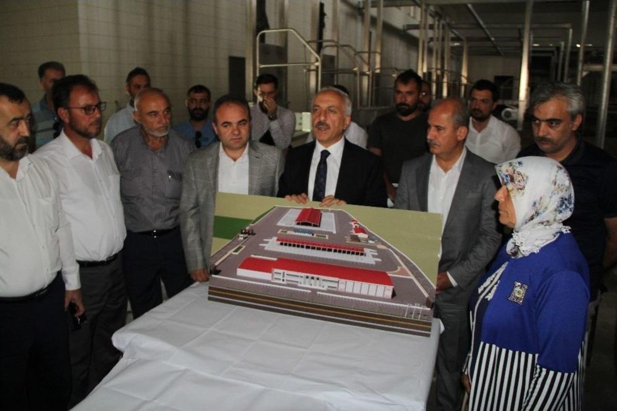 &Ccedil;orum&rsquo;a Modern Mezbaha