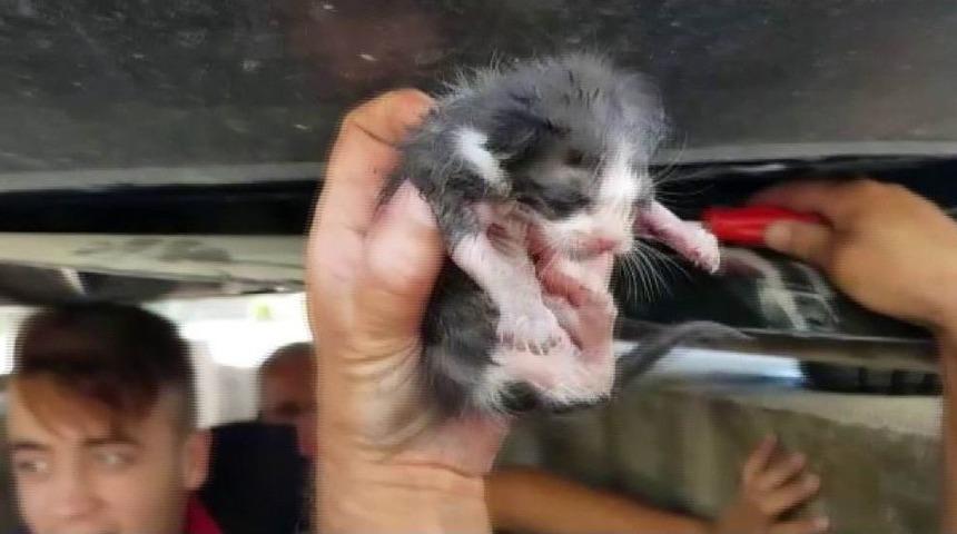 (özel) Otomobilin Motoruna Sıkışan Yavru Kediyi İtfaiye Kurtardı