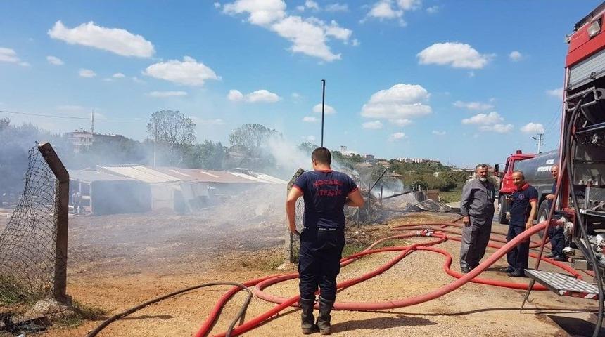 &Ccedil;iftlik Yangınında 30 B&uuml;y&uuml;kbaş Hayvan Telef Olmadan Kurtarıldı