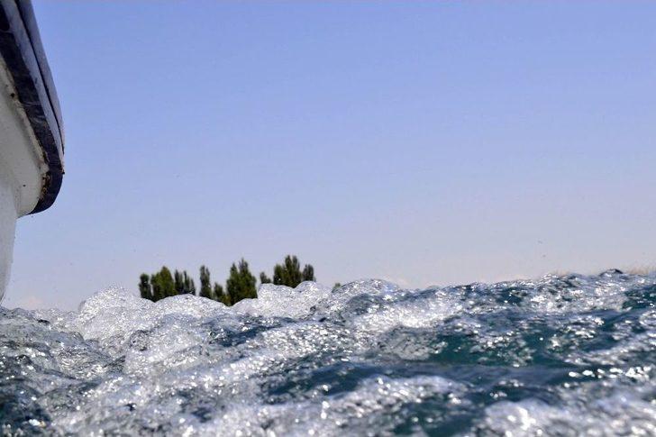 Sakarya Nehri Yeniden Doğuyor G1
