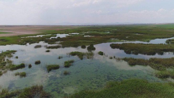 Sakarya Nehri Yeniden Doğuyor G3