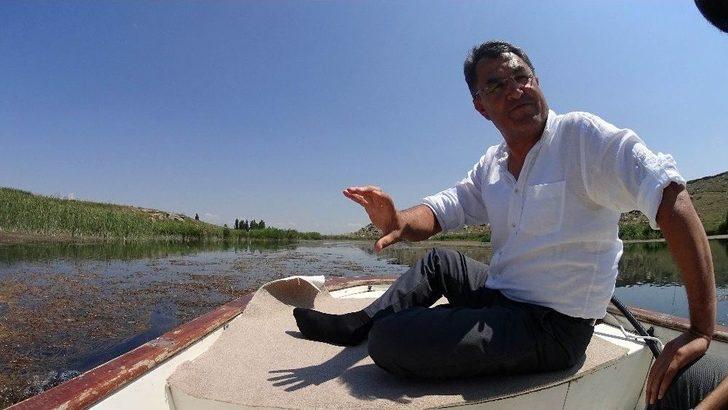 Sakarya Nehri Yeniden Doğuyor G5