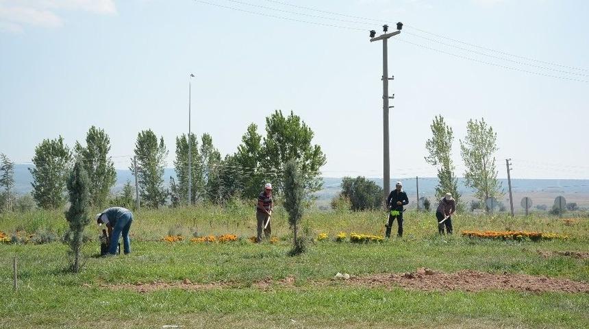Dinar’da Orta Refüjler Ve Döner Kavşaklara Düzenleme Ve Bakım Yapıldı
