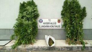 Bünyan’da Esrar Operasyonu